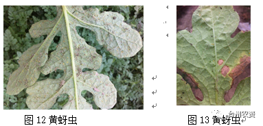 臺州農(nóng)資 臺州農(nóng)資